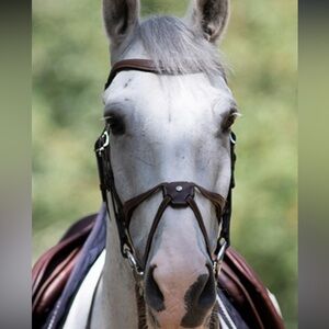 Antares signature figure 8 bridle size 1